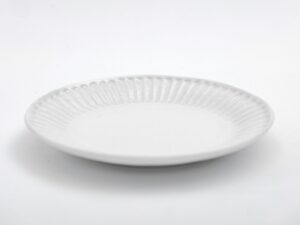 Biodegradable, high-quality disposable plates