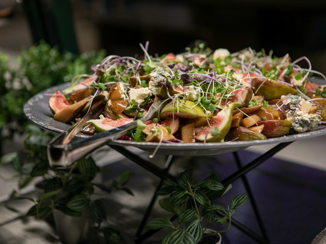 Dylan-and-Friends-LR-4503